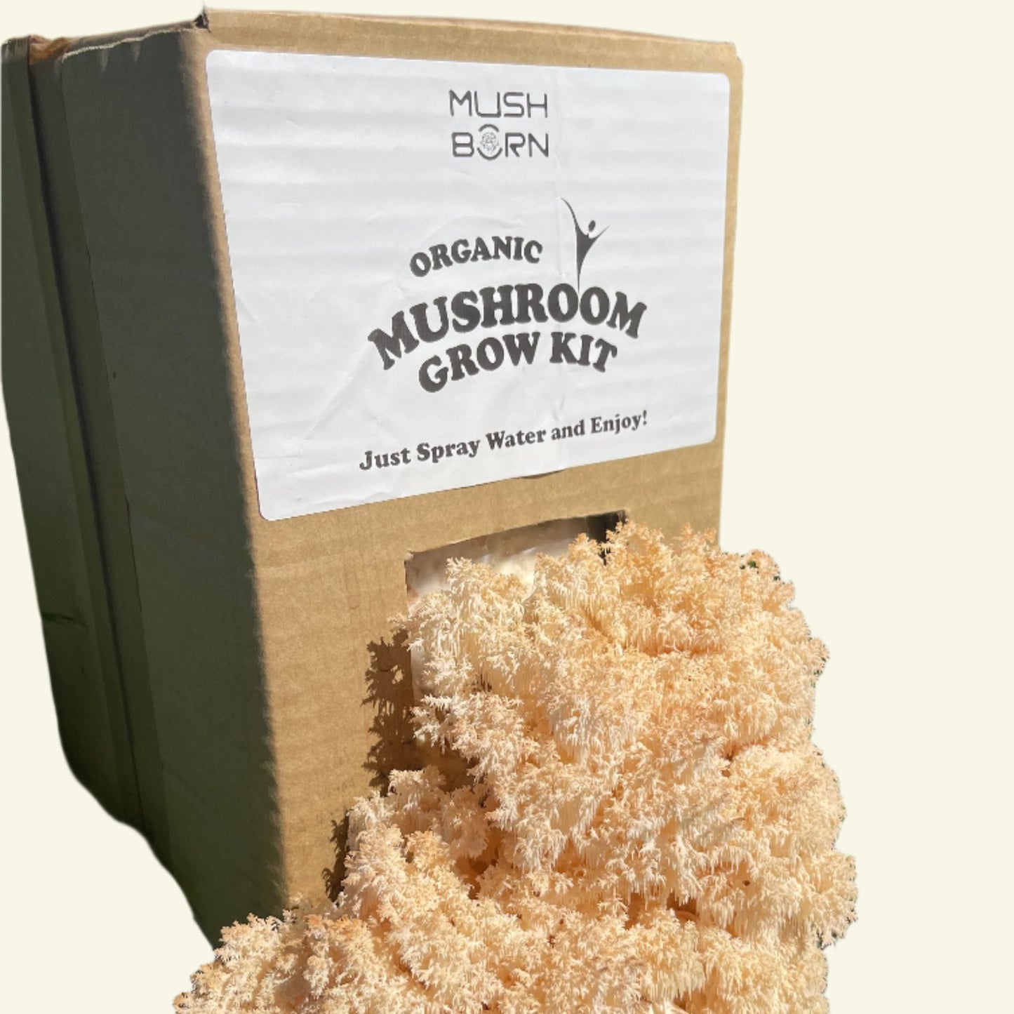 Lion’s Mane (Pekepeke-Kiore)