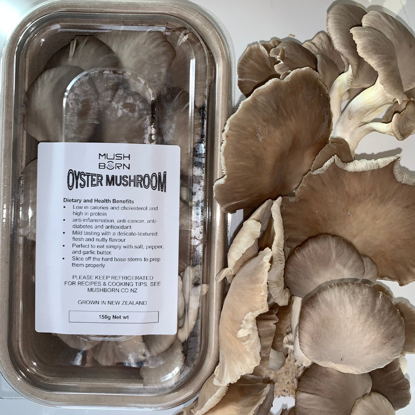 Grey Oyster(500g)-Fresh