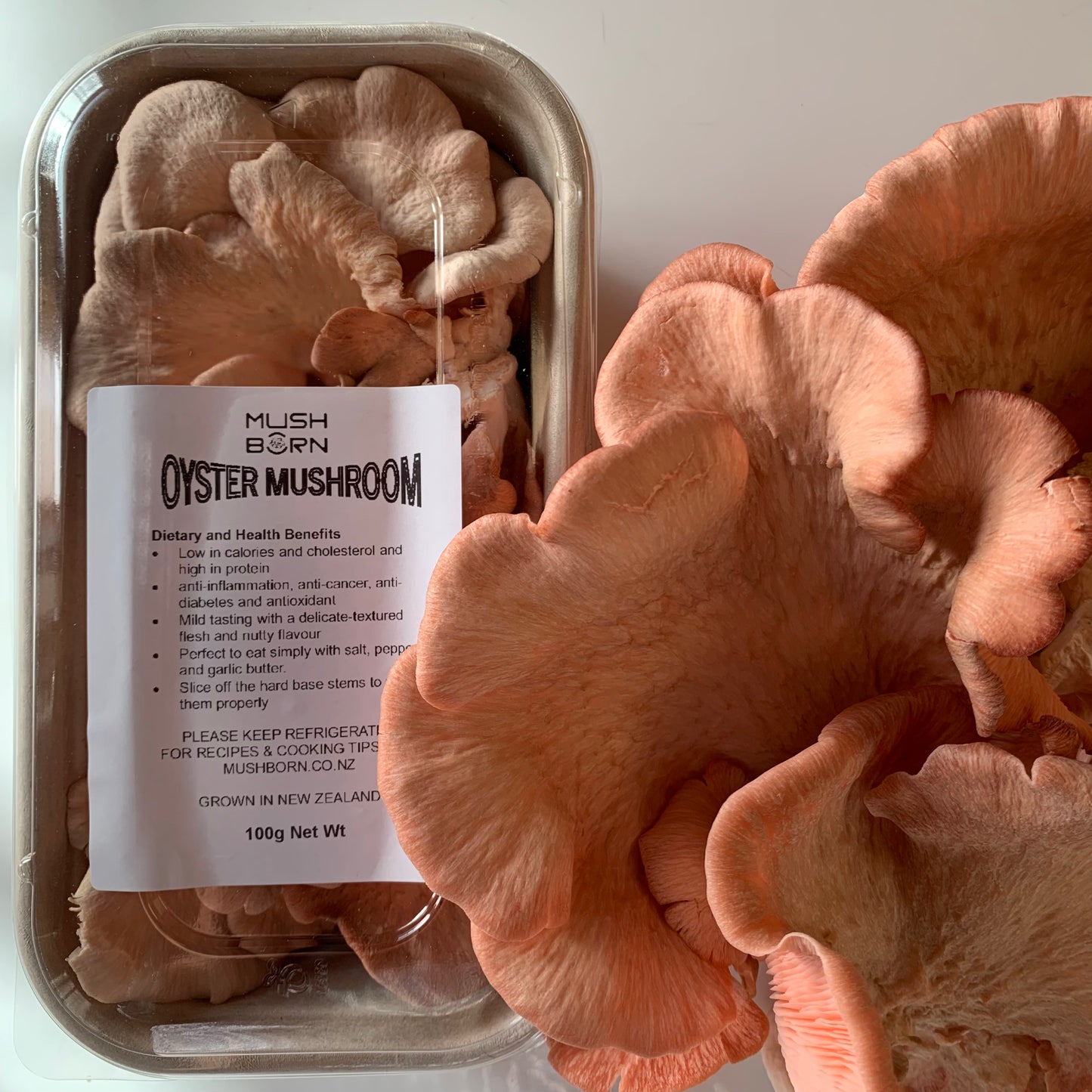 Pink Oyster (500g)-Fresh