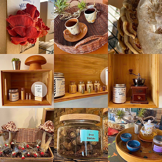 Opening Mushborn Cafe: The First Mushroom Coffee Shop