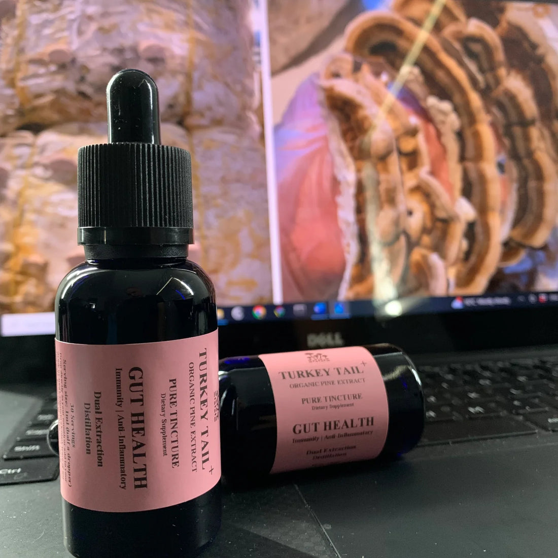 Turkey Tail Tincture