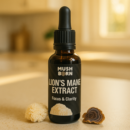Lion’s Mane Extract