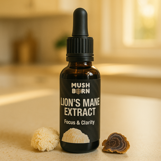Lion’s Mane Extract