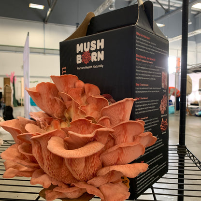 Combined Grow kits