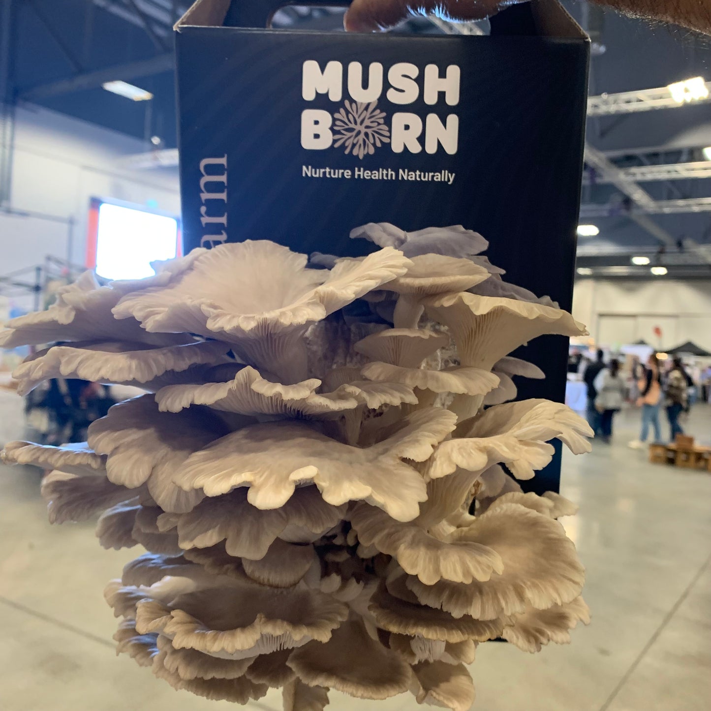 Combined Grow kits