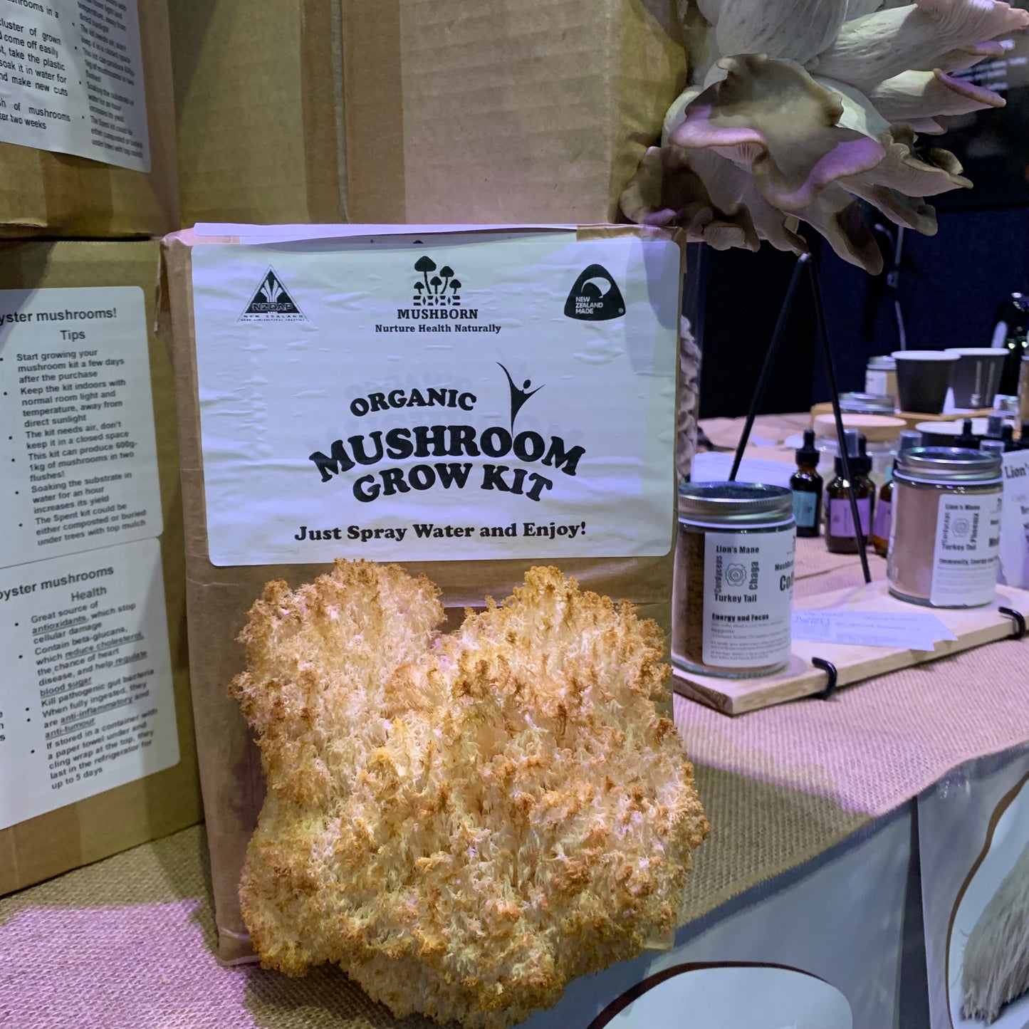 Lion’s Mane Powder