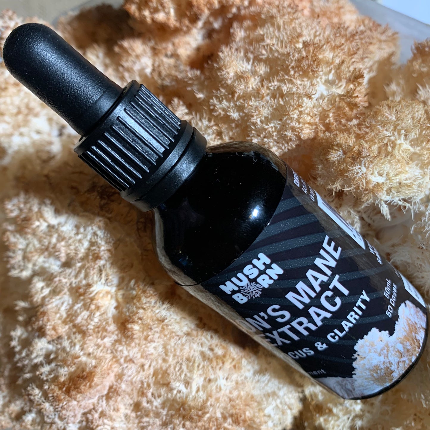 Lion’s Mane Extract