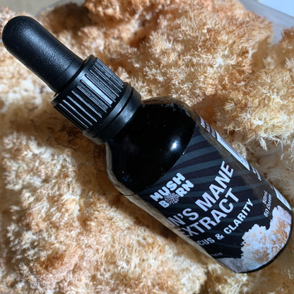 Lion’s Mane Extract