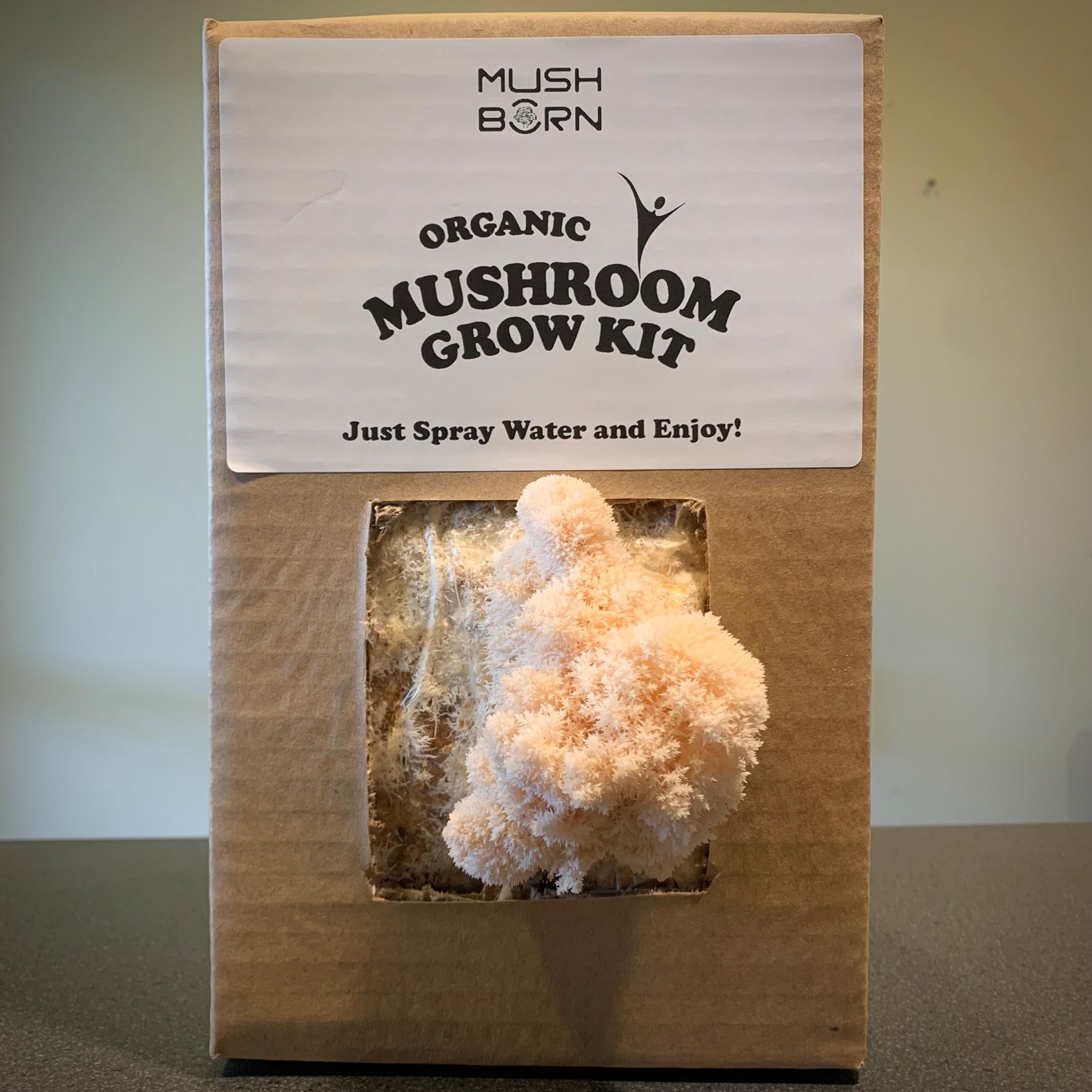 Shocking Lion'S Mane Look Alike Discoveries You Need To Know - uepck3s