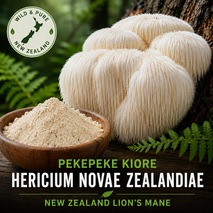 Lion’s Mane Extract Powder