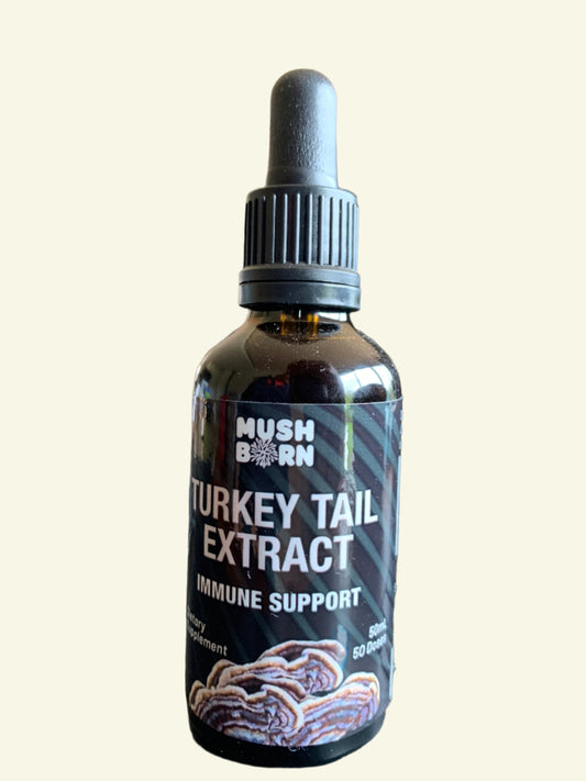 Turkey Tail Tincture