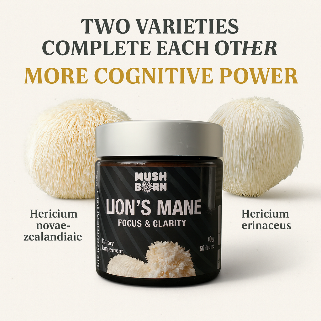 Lion’s Mane Powder